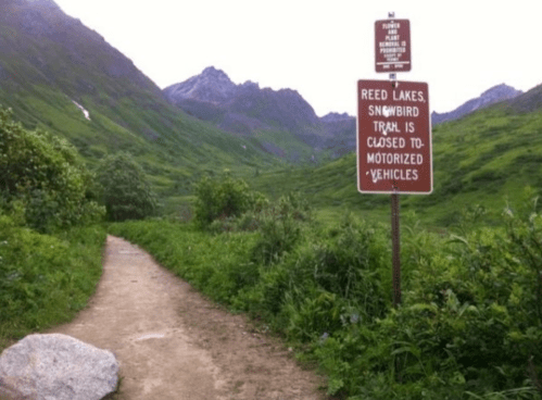 A trail sign indicating that the Reed Lakes Snowbird Trail is closed to motorized vehicles, surrounded by lush greenery.